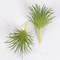 Mini Lifelike Artificial Succulent Plants Modern Faux Cactus Decor For Home Office 10