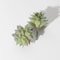 Mini Lifelike Artificial Succulent Plants Modern Faux Cactus Decor For Home Office 12