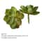 MiniLush 12Piece Artificial Succulents Set Realistic Faux Plants For Home Office Decor 13