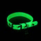 GlowSafe Cat Bell Collar Glow In The Dark Cat Collar For Cats Small Dogs 1