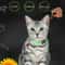 GlowSafe Cat Bell Collar Glow In The Dark Cat Collar For Cats Small Dogs 3