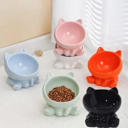 purrlift elevated ceramic cat bowl for food & water