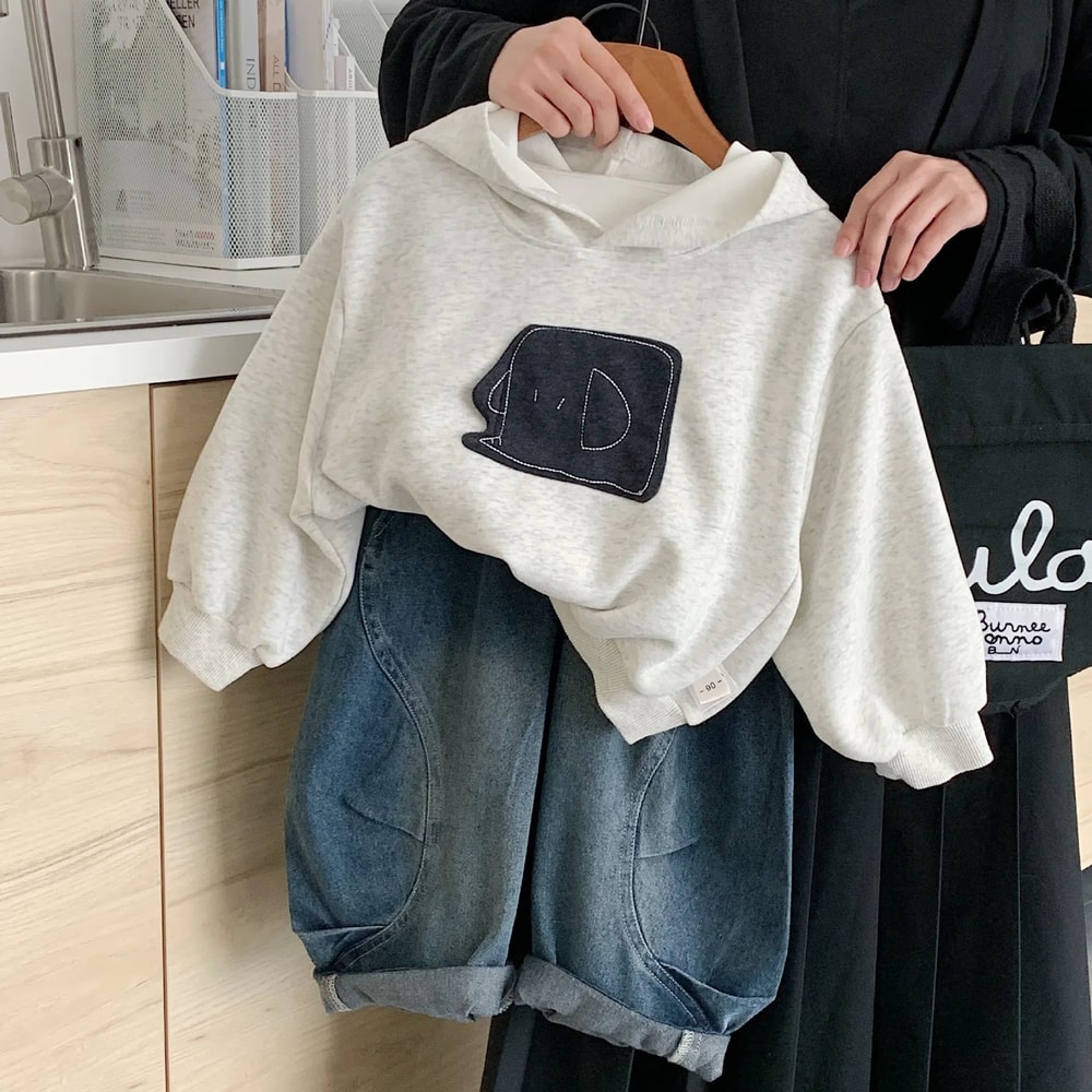 InsStyle Cartoon Toddler Boys Hoodie Cozy Baby Boys Sweatshirt Pullover With Hood 2