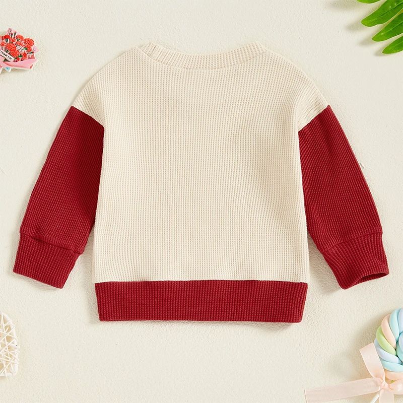 Ladybug Baby Sweatshirt Long Sleeve Pullover For Boys Girls 3