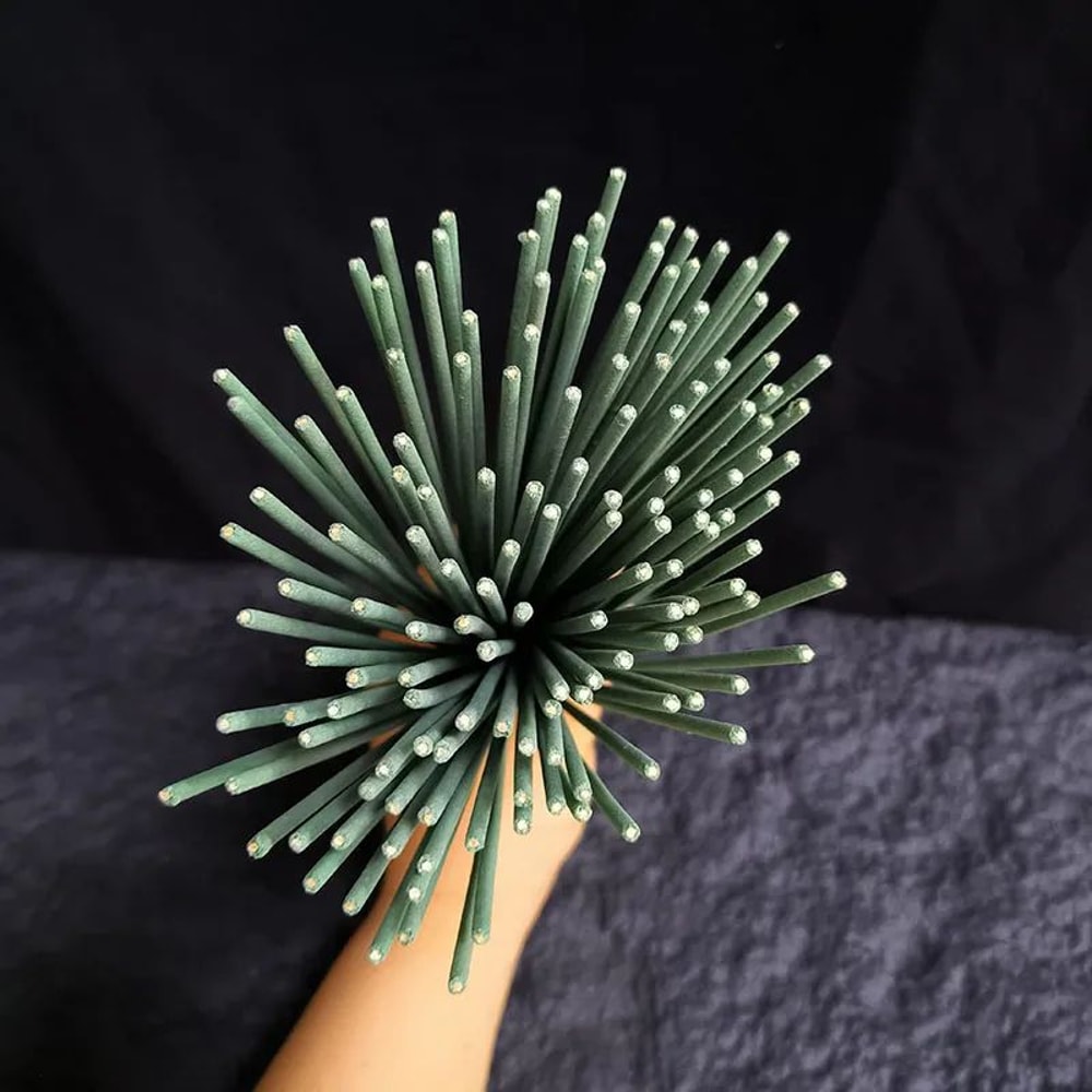 White Sage Incense Sticks For Meditation Energy Cleansing 22cm Natural Bamboo Aromatherapy Sticks 3