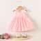Tulip Mesh Baby Girl Summer Dress Toddler Princess Flower Girl Party Dress 3