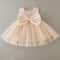 Elegant Floral Princess Baby Girl Ball Gown Luxury Flower Girl Toddler Party Dress 6