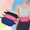 SecureFlex Travel Waist Pack Hidden Security Wallet 1