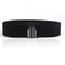 LunaShape Wide Elastic Waist Belt For Dresses And Coats 0