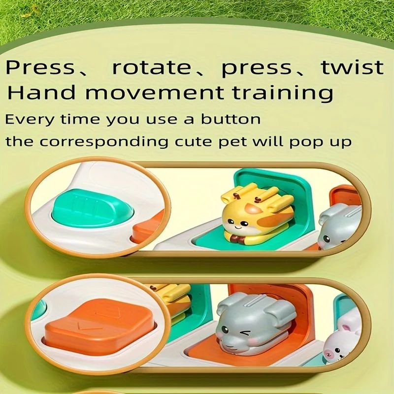 Montessori PopUp Animal Learning Box For Fine Motor Early Skill Development 2