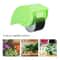 6Blade Manual Herb Chopper Vegetable Roller Cutter For Fast MessFree Prep 1