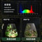 Smart Full Spectrum Indoor Grow Light With Timer For Terrariums Houseplants 3