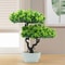 ZenLife Artificial Bonsai Tree Realistic Fake Bonsai Tree For Desk Office Home Decor 2