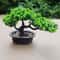 ZenLife Artificial Bonsai Tree Realistic Fake Bonsai Tree For Desk Office Home Decor 4