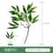 Lifelike Artificial Eucalyptus Stems For Elegant Home Wedding Decor 9