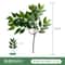 Lifelike Artificial Eucalyptus Stems For Elegant Home Wedding Decor 6