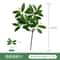 Lifelike Artificial Eucalyptus Stems For Elegant Home Wedding Decor 7