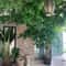 Lush Italian Ruscus Artificial Greenery Stems For Elegant Decor 10pcs 5