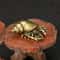 Vintage Brass Hermit Crab Figurine Nautical Desk Decor Ocean Accent 1