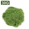 Evergreen Mini Landscape Artificial Moss Grass For DIY Decor Crafts 6
