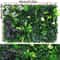 EverGreen Artificial Boxwood Panels For Indoor Outdoor Decor Grass Wall Panel Privacy Screen Green 7