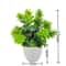 Mini Bonsai Decor Artificial Potted Plant For Desk And Table Styling 7