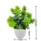 Mini Bonsai Decor Artificial Potted Plant For Desk And Table Styling 7