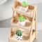 Miniature Plant Pots Realistic Dollhouse Decor Set 3
