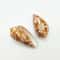 Natural Cowrie Shell Decor Set Of 2 Eyed Cowrie Sea Shells For Aquarium Decor Coastal Home Styling 6