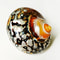African Sarmaticus Hermit Crab Shells Natural Turbo Seashell For Coastal Decor 4