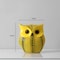 Whimsical Owl Pumpkin Figurine Owl Decor Pumpkin Ornament Funny Animal Desktop Sculpture 10