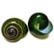 Green Jade Natural Snail Shell Aquarium Decoration Shell Specimen Accent 0