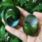 Green Jade Natural Snail Shell Aquarium Decoration Shell Specimen Accent 3