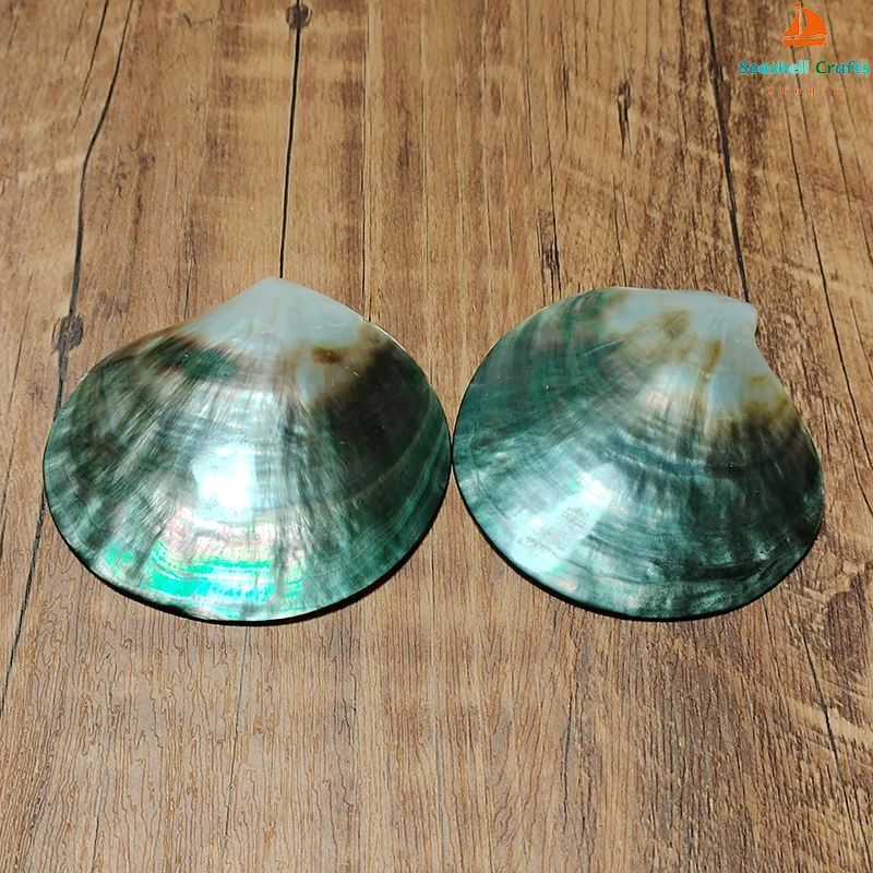 Black Mother Of Pearl Shell Beads Polished Pinctada Margaritifera For DIY Jewelry Elegant Storage 1