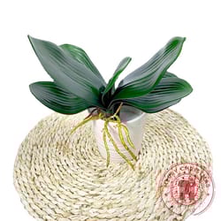 realistic artificial orchid leaves – phalaenopsis fake plant decor for elegant home styling