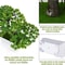 Evergreen Artificial Bonsai Tree Mini Fake Potted Plant For Desk And Home Decor 2
