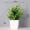 Realistic Artificial Bonsai Desk Plant Decor In Pot For Home And Office 3