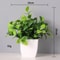 Realistic Artificial Bonsai Desk Plant Decor In Pot For Home And Office 4