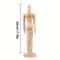 Wooden Artist Mannequin For Drawing Posable Wooden Mannequin Decor Model 8