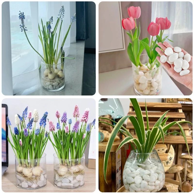 White Polished Pebbles 23cm For Plants Fish Tanks And Garden Decor 4