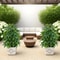 Lifelike Artificial Money Tree Palm For Patio Balcony And Event Decor 4