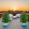Lifelike Artificial Money Tree Palm For Patio Balcony And Event Decor 5