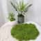 Premium Artificial Moss For Crafts Decor Lush Green Fake Moss For DIY Projects Landscaping 9