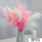 Boho Pampas Grass Dried Flower Bouquet For Weddings Home Decor 10