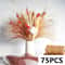 Boho Pampas Grass Dried Flower Bouquet For Weddings Home Decor 11