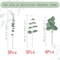 Mixed Artificial Eucalyptus Stems For Weddings Vases DIY Floral Arrangements 5
