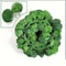 LushFlow Artificial Ivy Garland For Realistic Green Wall Decor 9