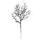 Midnight Antler Halloween Black Branches For Vase And Gothic Centerpieces 5pcs 2