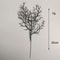 Midnight Antler Halloween Black Branches For Vase And Gothic Centerpieces 5pcs 5
