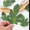 Lifelike Artificial Greenery Leaves Set DIY Craft Foliage Wedding Decoration Supplies 50PCS 5